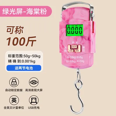 High-precision fishing express scale portable hand scale electronic weighing scale gram scale accurate vegetable sales spring hanging scale electronic balance - 12