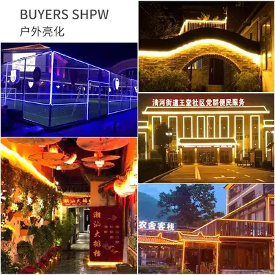 220V flexible Lichtstreifen LED-Streifen rund Outdoor wasserdicht Neonlicht Stimmungslicht Werbung Beleuchtungskabel