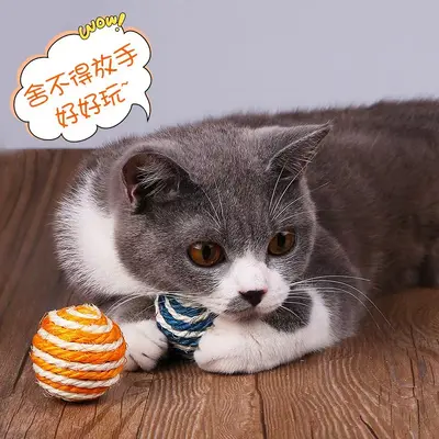 Durable Sisal Cat Ball with Squeaker, Molar Stick and Catnip Teaser Wand - 5