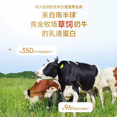 Protein Tozu 450g Bağışıklık Güçlendirici Beslenme