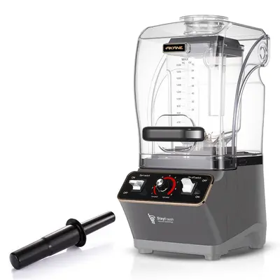 Hochleistungs-Standmixer mit Eiscrusher und Schallschutz - 8
