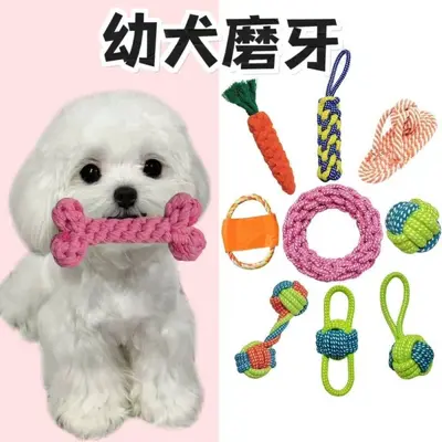 Dog Teething Rope Toy Set, Bite-Resistant Braided Knot with Frisbee - 4