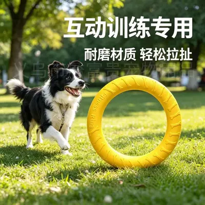 Unzerstörbare EVA-Hunde-Frisbee mit Zugring - 3