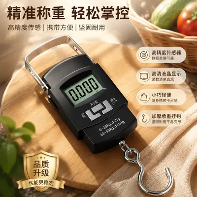 Mini portable electronic handheld scale with hook