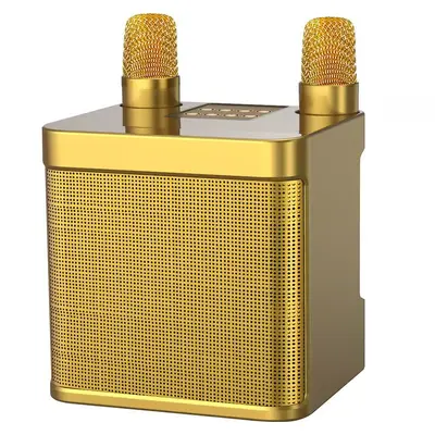 YS203K Karaoke Speaker with Wireless Bluetooth and Dual Microphones - 11