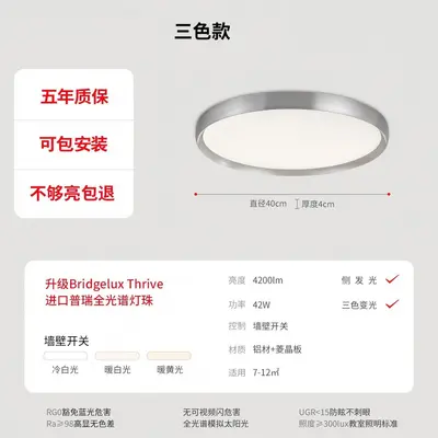 Ultra-Thin All-Aluminum Modern Bedroom Ceiling Light - 12