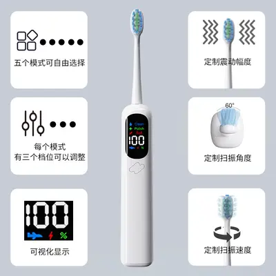 工厂新品电动牙刷扫振一体成人软毛自动充电情侣礼物跨境批发定制