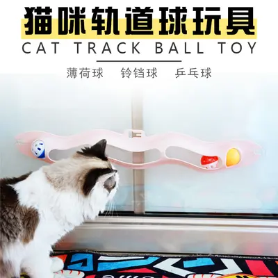 Cat Suction Cup Track Ball Toy with Wave Ball for Walls and Windows - 2