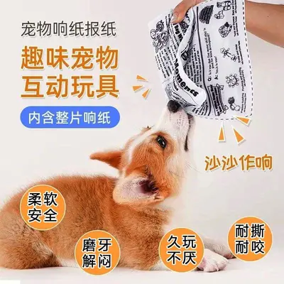 Dog Squeaky Crinkle Paper Chew Toy for Small and Medium Dogs - 3