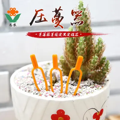 Strawberry Seedling Press Fork for Grafting and Greenhouse