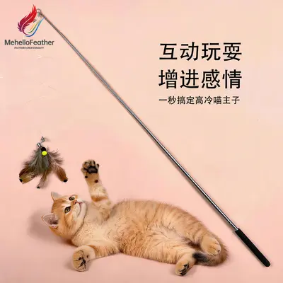 Feather Cat Teaser Wand with Bell, Steel Wire Long Handle