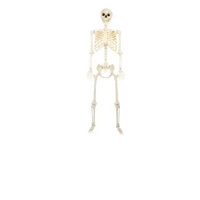 Halloween Skeleton Figure, Realistic Human Skeleton Walking Dog, Party and Yard Decoration