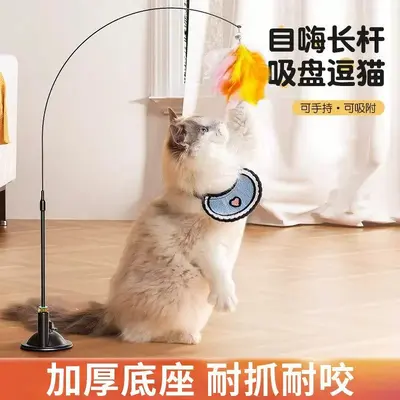 Vantuzlu Kedi Oyun Çubuğu, Çelik Tel, Yedek Tüy Başlık - 2