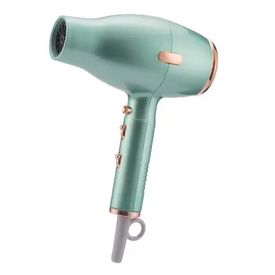 Professional Salon Hair Dryer High-Speed Motor, UK and EU Standard