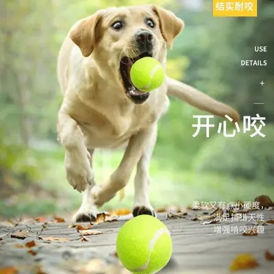 Köpek oyuncağı elastik tenis topu, büyük, orta ve küçük boy, kauçuk - 4