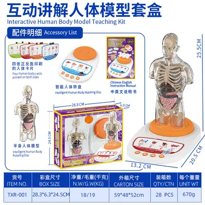 Children STEM Educational Toy, Removable Human Body Anatomy Model - 7
