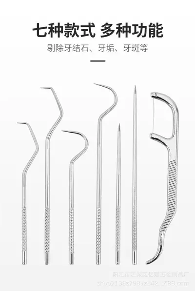 304 Stainless Steel Toothpick Set, Dental Floss, Portable Storage Tube