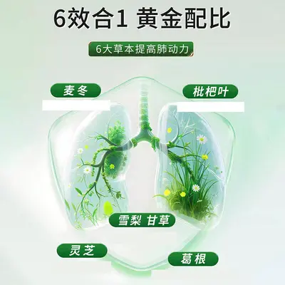 Nanjing Tongrentang Ophiopogon, Loquat Leaf, Licorice and Ganoderma Herbal Tea Mix - 5