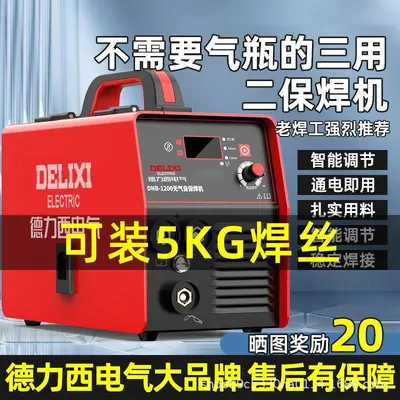 Delixi 220V Multifunction Gasless Welding Machine, Portable, Industrial Grade