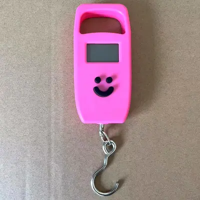 Portable home type small-scale electronic scale, weighing from 50 grams to 50 kg, high-precision handheld spring hook scale. - 12