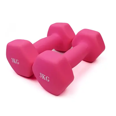 Cross-border Dumbbell Fitness Home Use Pair Rubber Coated Women's Solid Cast Iron Matte Set Small Dumbbells for Women