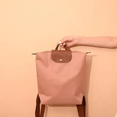 Dragon Inlay Large Nylon Foldable Waterproof Backpack - 9