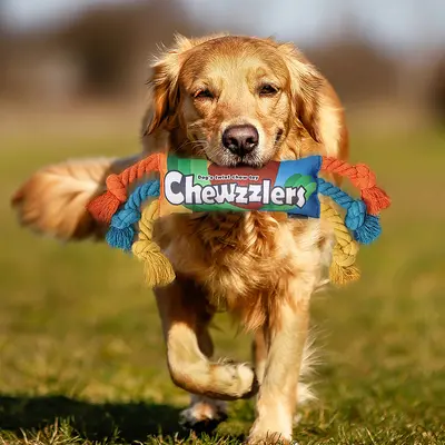 Rainbow Candy Bite-Resistant Squeaky Dog Toy