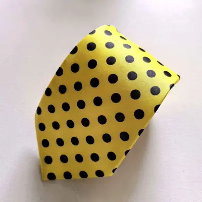 Erkek Polyester Puantiyeli Kravat Fermuarlı İş ve Günlük Kullanım