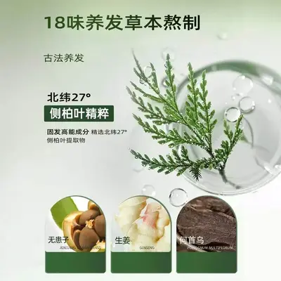 自然物语侧柏叶防脱洗发水0硅油0月桂醇草本植萃防脱控油蓬松去屑