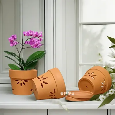 Red Clay Orchid Pot with Cutout Side Wall, Breathable, Hanging Design
