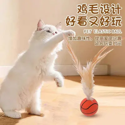 Cat Toy Feather Elastic Ball and Cat Teaser Wand Set - 2
