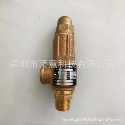 S10.015 SS Copper Safety Valve, Boiler Pressure Relief Valve