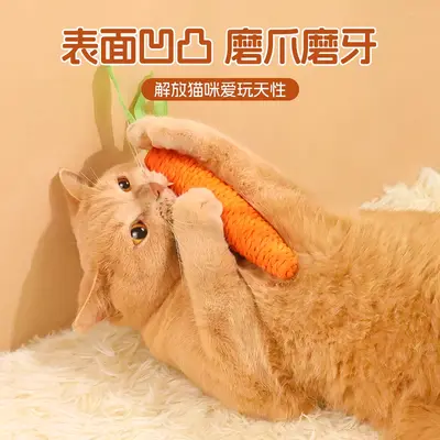 Carrot-Shaped Cat Teaser Wand, Squeaky, Chew-Resistant, for Kittens - 3