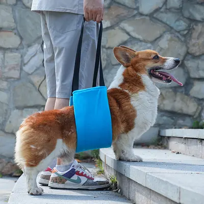 Amazon Pet Поддерживающая шлея для пожилых и больных собак, помощь на лестнице и при посадке в машину, реабилитационный поддерживающий ремень для тренировок