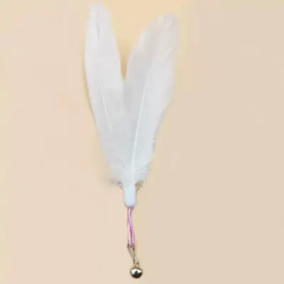 Wooden Handle Cat Teaser Wand with Feather and Bell, Replaceable Heads - 13
