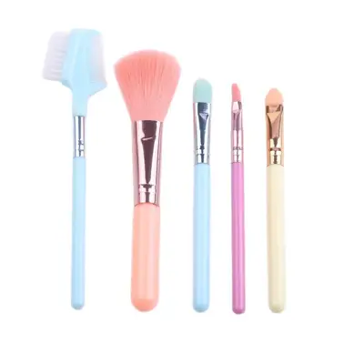 Makyaj fırçası 5 parçalı set, göz farı fırçası, dudak fırçası, allık fırçası, toptan pudra fırçası, kapatıcı fırçası, güzellik aracı, çok fonksiyonlu
