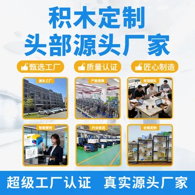 Custom Model Building Block Educational Toys