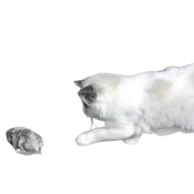 Peluş Fare Kedi Oyuncağı, Koşan ve Elektrikli, Gerçekçi Tasarım - 6
