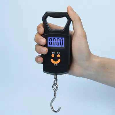 Taşınabilir tartı çantası dijital terazi 50kg ağırlık ölçen hassas dijital mutfak gıda kancalı bagaj yaylı terazi