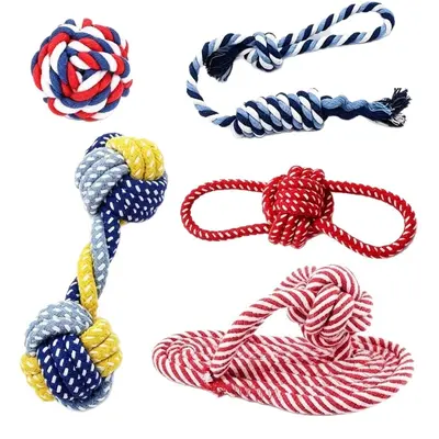 Durable Cotton Rope Chew Toy and Frisbee Set for Small and Medium Dogs - 6