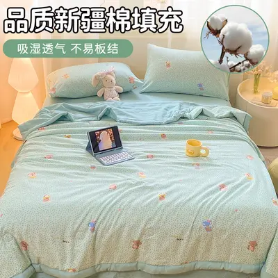 Klasse-A leichte frische Baumwollwäsche Bettdecke aus Xinjiang-Baumwolle für grenzüberschreitenden Handel, nicht ausverkauft, Sommerleichte Bettdecke, Einzelbett und Doppelbett, Klimaanlage-Bettdecke, Großhandel