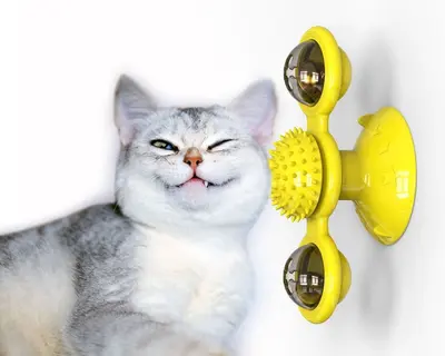 Electric Rolling Cat Ball, Obstacle-Avoiding, Bite-Resistant - 13