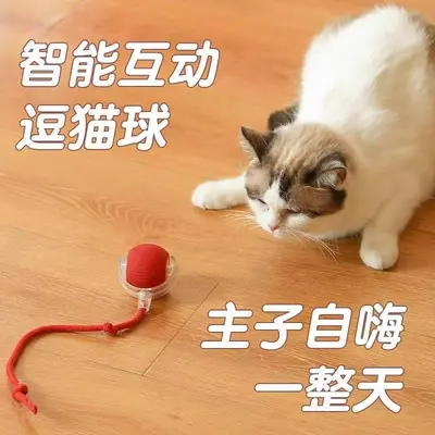 Automatic Electric Rolling Cat Toy Ball with Interactive Play - 3