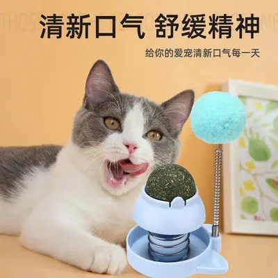 Catnip Ball, Spring Wobbling Cat Toy - 4