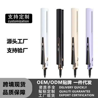 Premium Cross-Border Hair Straightener Multi-Level Temperature Control Hair Protector Curling Iron 2-in-1 Negative Ion Hair Straightener Clip