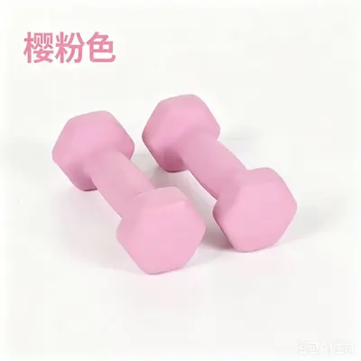 Çapraz sınır dambıl fitness ev kullanımı bir çift daldırma kaplı kadın katı dökme demir mat set küçük dambıl kadın - 11