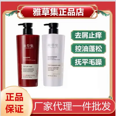 Yacaoji Ginger Oil-Control Volumizing Shampoo and Serum - 1
