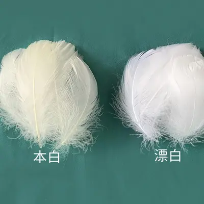 36 Colours Small Dyed Swan Feathers for DIY Jewelry - 11