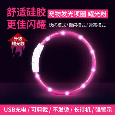 Rechargeable Light-Up Collar for Dogs and Cats - 8
