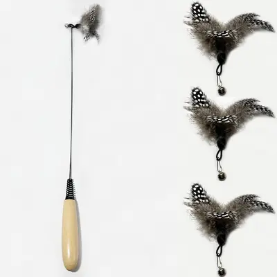 CFA Wooden Handle Spring Cat Teaser Wand with Replaceable Feather Head - 10